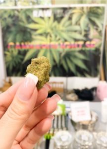 CBD Flower Cannabis Expo