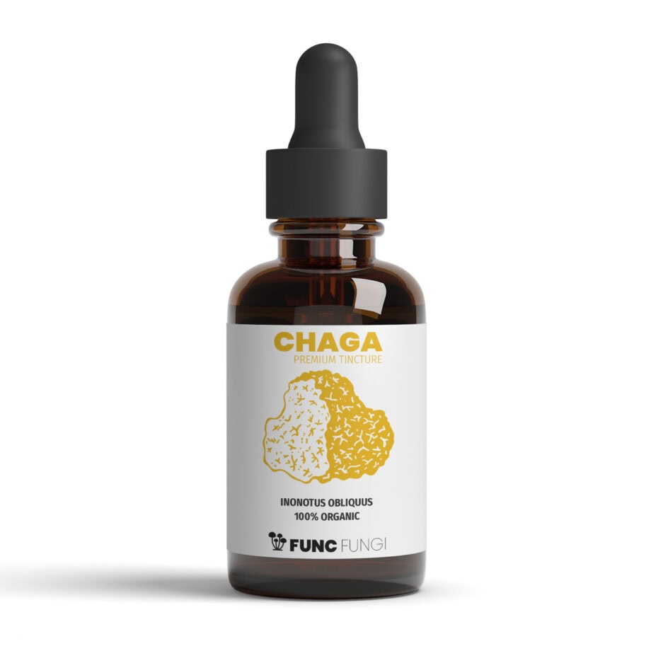 Chaga tinktur