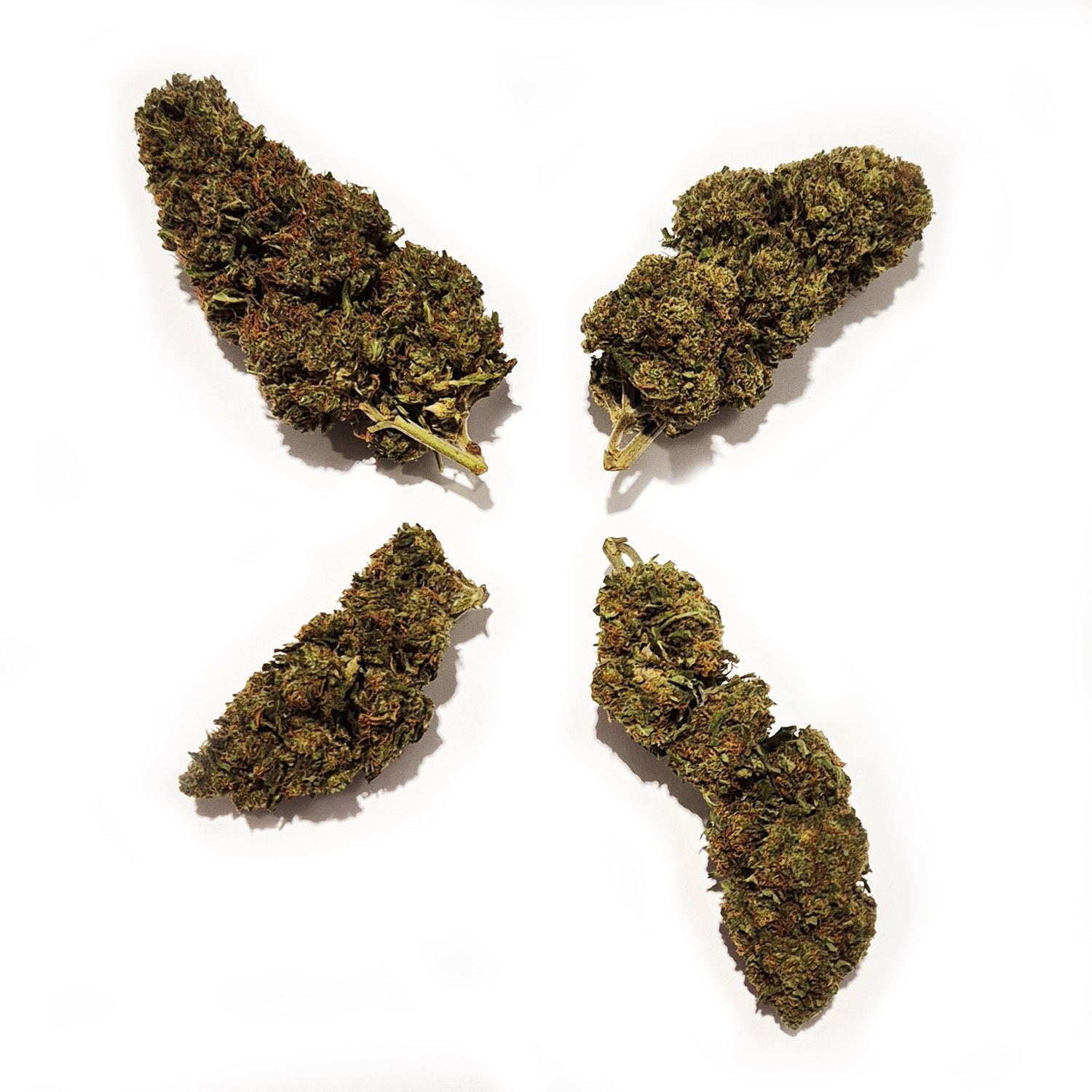 Sample Pack CBD Buds